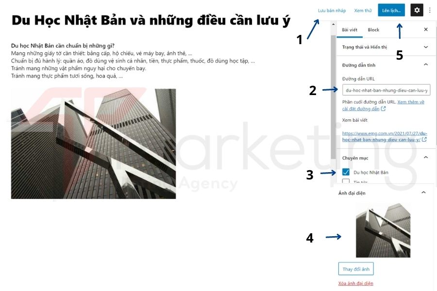 Hướng dẫn Sử dụng Theme Flatsome cho Người mới Bắt Đầu 36 sử dụng theme flatsome