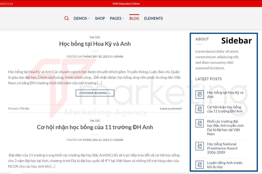Hướng dẫn Sử dụng Theme Flatsome cho Người mới Bắt Đầu 39 sử dụng theme flatsome