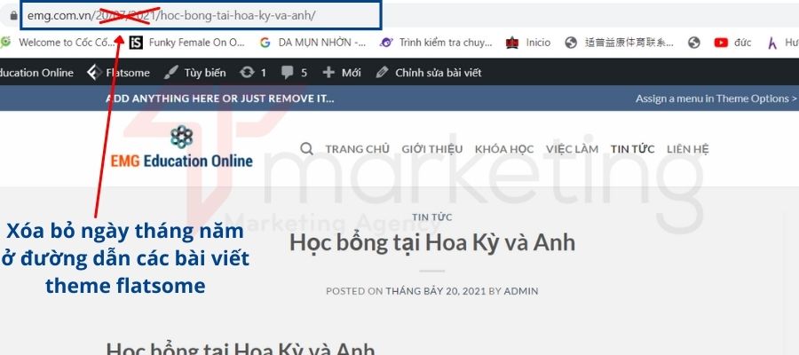 Hướng dẫn Sử dụng Theme Flatsome cho Người mới Bắt Đầu 5 sử dụng theme flatsome