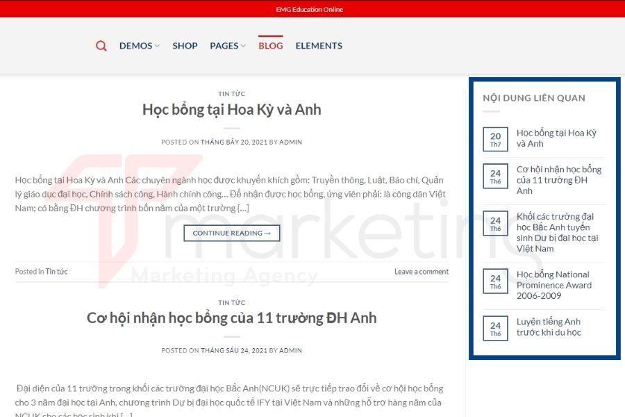 Hướng dẫn Sử dụng Theme Flatsome cho Người mới Bắt Đầu 43 sử dụng theme flatsome