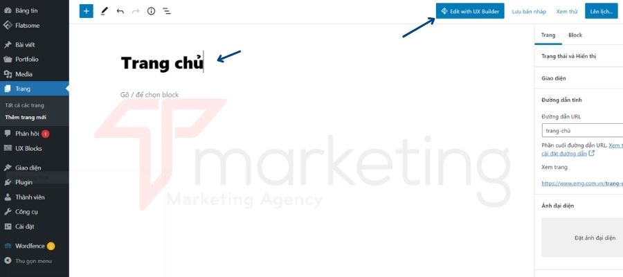 Hướng dẫn Sử dụng Theme Flatsome cho Người mới Bắt Đầu 45 sử dụng theme flatsome