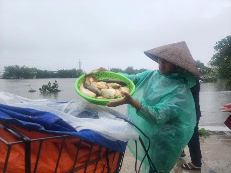 Tiền Phong Một số hộ dân thì tranh thủ đánh cá bán cho tiểu thương. 1