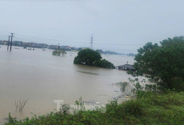 Tiền Phong Theo báo cáo của Ban Chỉ huy PCTT và TKCN huyện Quốc Oai, do ảnh hưởng của bão số 3, trên địa bàn huyện có 5 xã bị ngập úng. Bao gồm các xã Cấn Hữu, Phú Cát, Liệp Tuyết, Tuyết Nghĩa, Đông Yên. 1